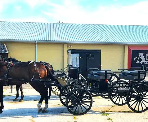 Amish buggy with horses in front of a building with AMISH HERITAGE wall mural painted on it in Shipshewana