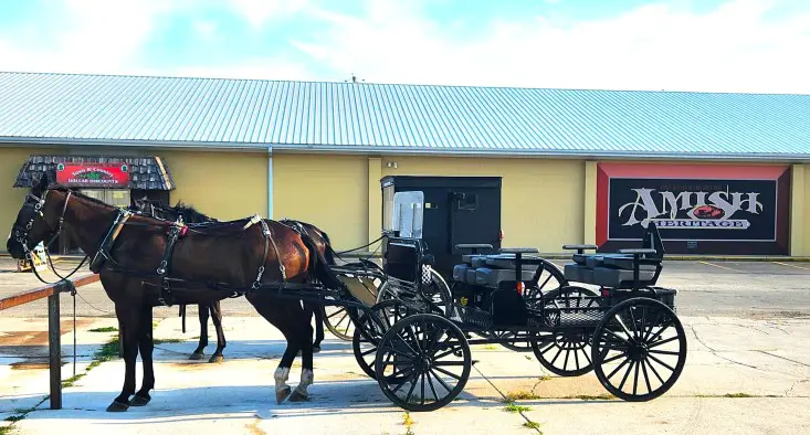 Amish buggy with horses in front of a building with AMISH HERITAGE wall mural painted on it in Shipshewana