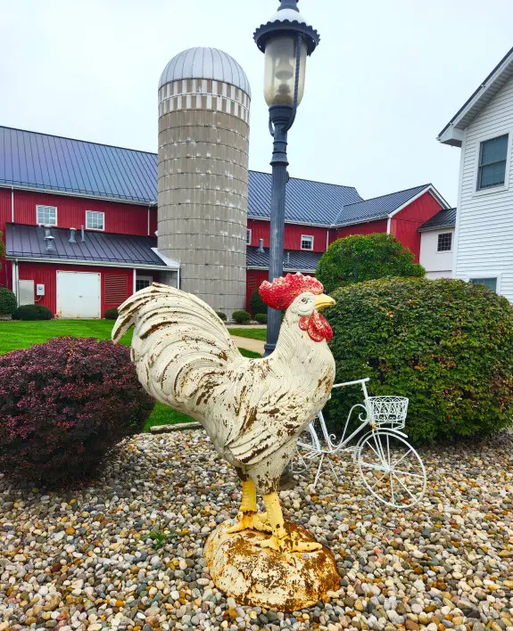 concrete rooster in front of a huge red barn and silo at the Farmstead Inn in Shipshewana