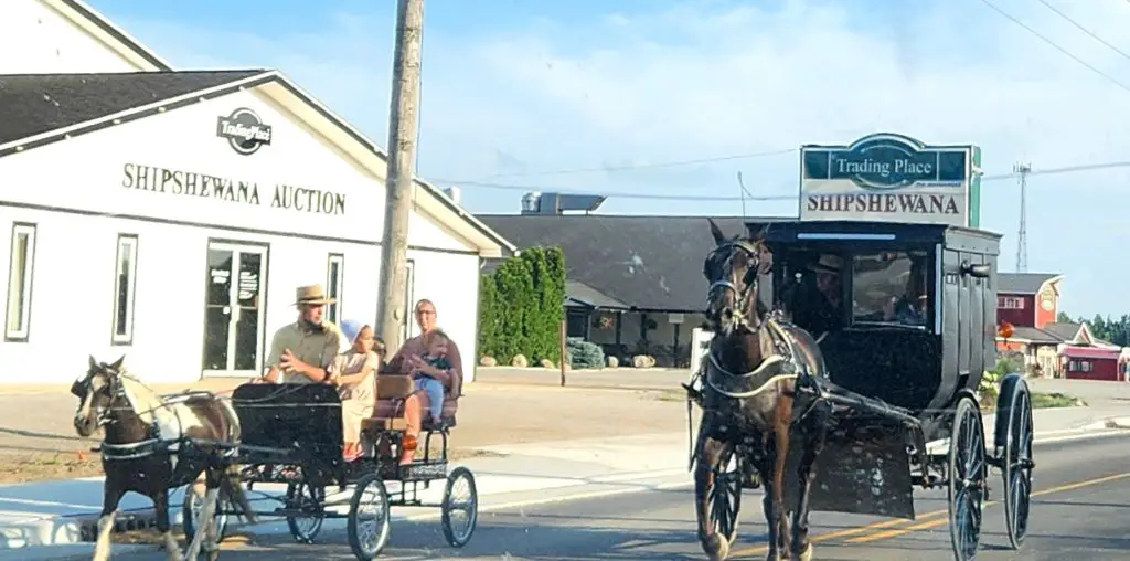 Two Amish Buggies on the road in Shipshewana Indiana
