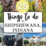 feeding bison, couple posing in a sunflower field, black Amish buggy, Shipshewana restaurant with flowers out in front.