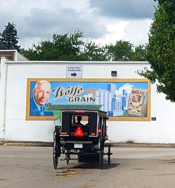 black amish buggy in front of a wall mural on a building