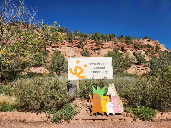 sign on a hill for Best Friends Animal Sanctuary with some cut out animals