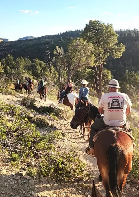 many horse back riders following along a pathway in a forest