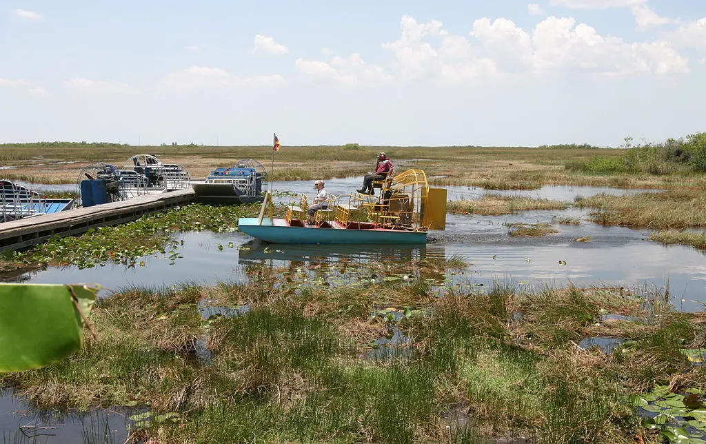 airboats going in the Everglades with a couple of people on them