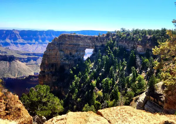 overlooking  deep canyon with trees and in the distance a large rock arch with a hole in it