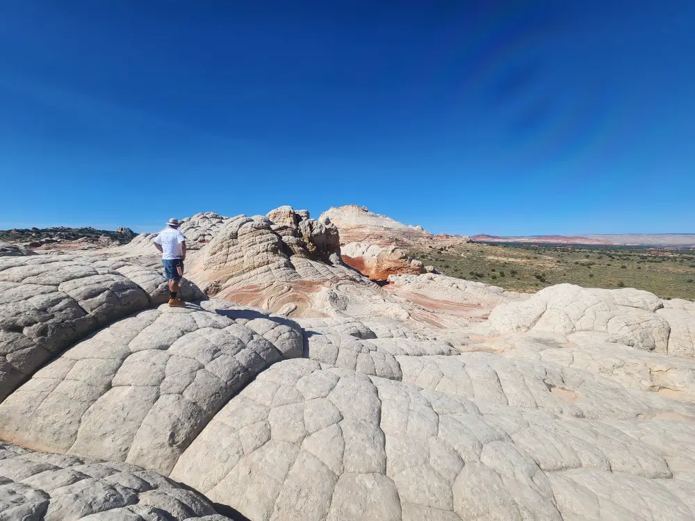 white fossilized rock with a man standing on it looking into the distance
