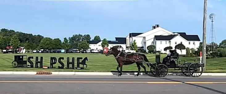 black SHIPSHE sign with an Amish horse and buggy in the road