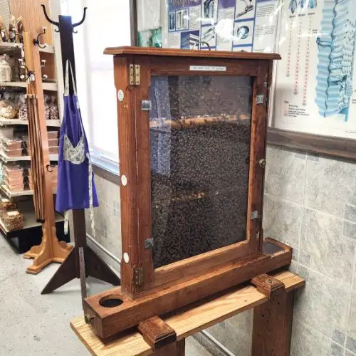 brown framed beehive with a window to look at it inside an Amish country store in Indiana