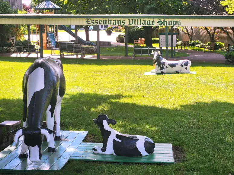 fake cows on green grass with Essenhaus shops pavilion in the background