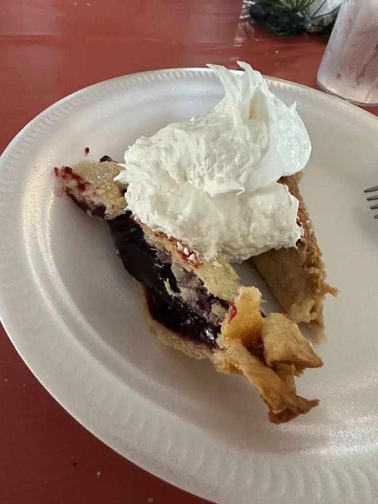 fruit pie with whipped cream on top