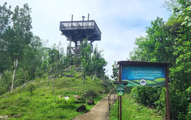 tall look out tower with stairs in the distance, park sign and lots of trees