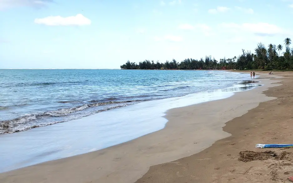 sandy beach in Puerto Rico with water gently washing ashore