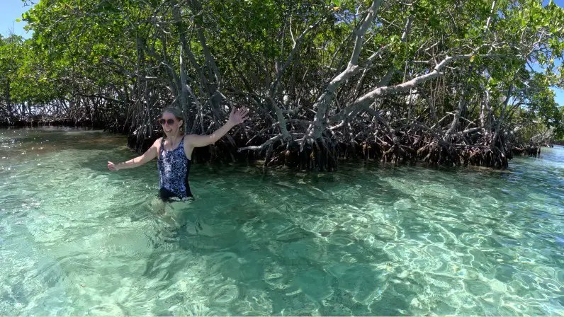 woman with outstretched arms in the water in front of mangrove trees in Puerto Rico