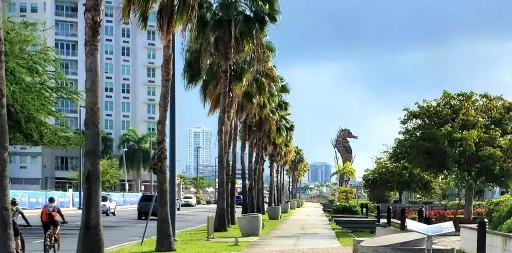 street lined with palm trees