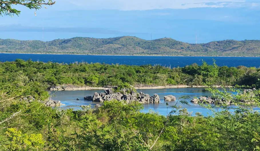 overlooking trees and a rock formation in the middle of water with mountains in the background in Puerto Rico