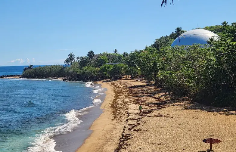 white dome building peeking through the treetops on the side of a long beach with waves coming ashore