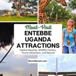 animals and beachs you can visit in Entebbe Uganda. Girl looks up at a giraffe