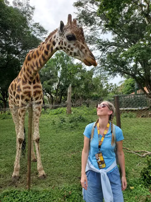 lady smiling and looking up at a giraaffe that is behind her