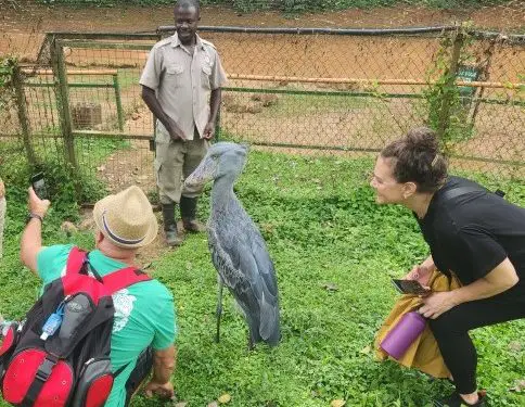 people gather around a large bird and are squatting down to take a photo with it