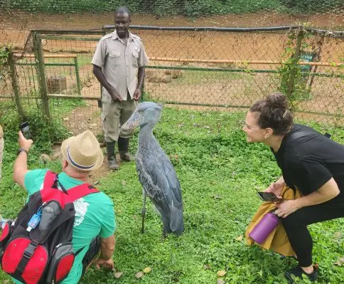 people gather around a large bird and are squatting down to take a photo with it