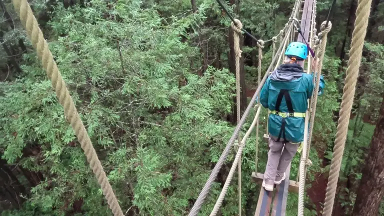 lady walking across a plank and rope bridge tethered to a harness
