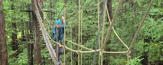 man crossing a plank bridge high in the trees in the redwood forest in New Zealand