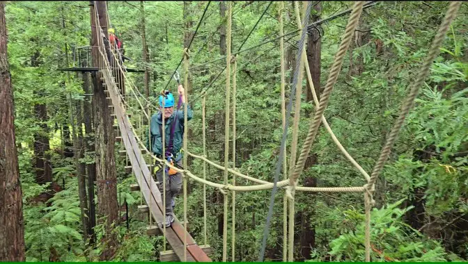 man crossing a plank bridge high in the trees in the redwood forest in New Zealand