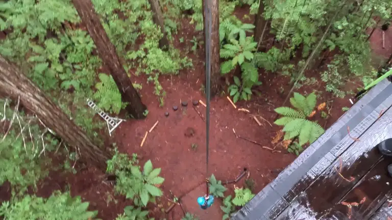 lady on a rope below a platform that was high in a redwood tree