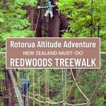 man ziplining through redwood trees and walking across a rope bridge at Redwoods Treewalk in Rotorua New Zealand