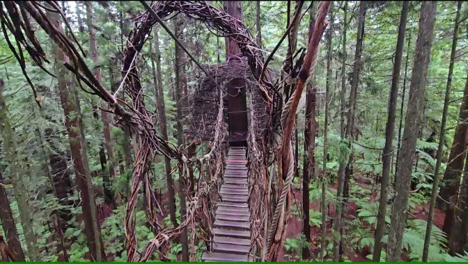 bridge in the redwood canopy made of vines and planks