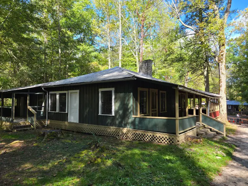 green cottage surrounded by trees