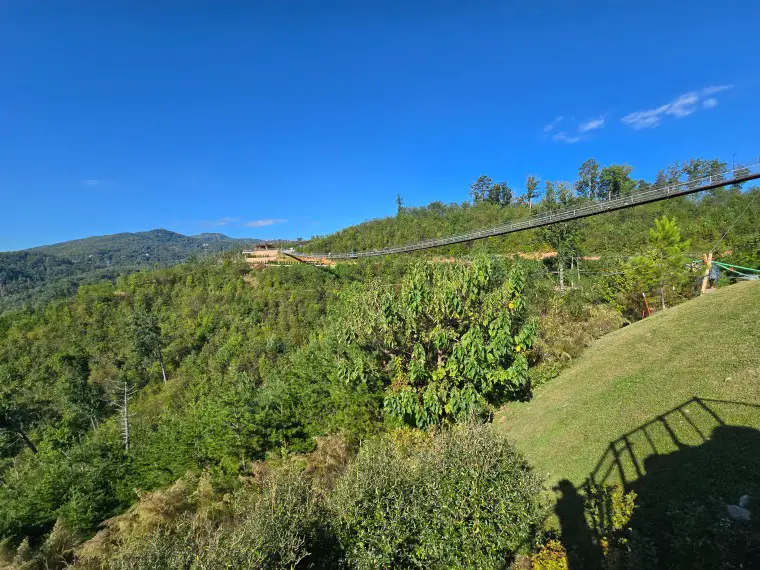 skybridge spanning across the mountain among the green trees