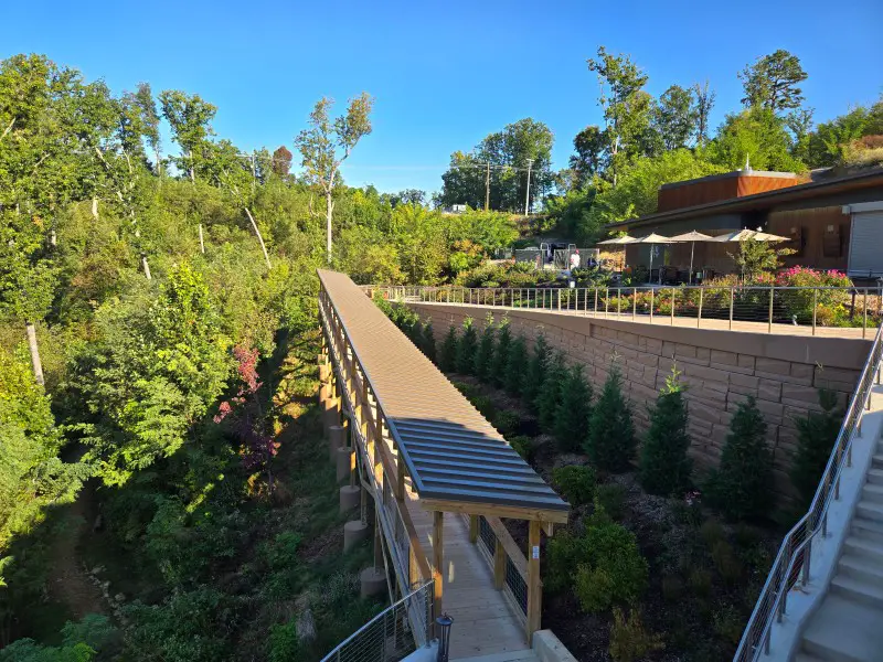 wooden walkway in the mountains and trees