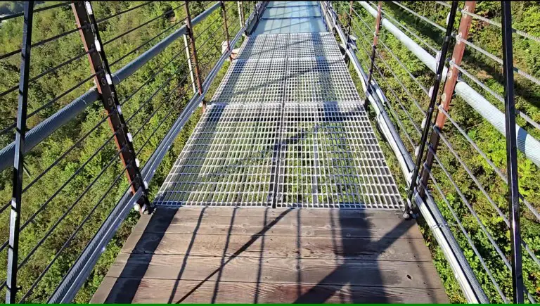 grate ad glass panels on a long bridge with green trees underneath
