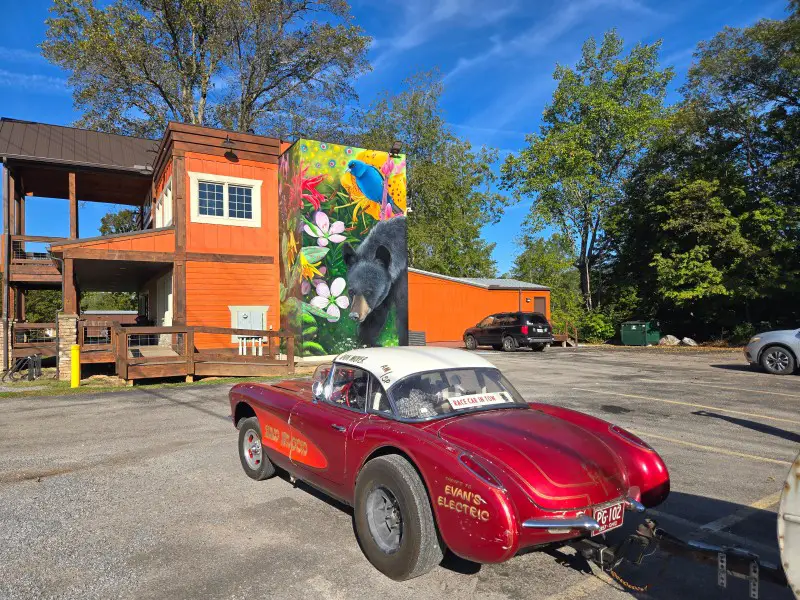 old red corvette parked in front of a building with a black bear painted on it