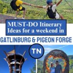 people ziplining, posing in front of the smoky mountains, and a tall observation tower